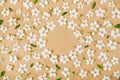 Floral frame made of white spring flowers, buds and green leaves on brown paper background. Flat lay. Royalty Free Stock Photo