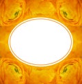 Floral frame with orange ranunculus flowers