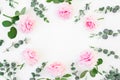 Floral frame of pink flowers and eucalyptus branches on white background. Flat lay, top view. Valentines day background Royalty Free Stock Photo