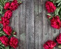 Floral frame with pink peonies flowers on rustic wooden background. Selective focus, place for text, top view Royalty Free Stock Photo