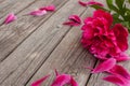 Floral frame with pink peonies on wooden background Royalty Free Stock Photo