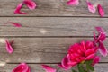 Floral frame with pink peonies on wooden background Royalty Free Stock Photo