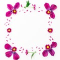 Floral frame of pink petals and flowers isolated on white background. Flat lay, Top view. Valentines background. Royalty Free Stock Photo