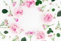 Floral frame with pink roses, buds and green leaves on white background. Flat lay, top view. Spring background Royalty Free Stock Photo