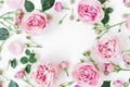 Floral frame with pink roses, buds and leaves on white background. Flat lay, top view. Spring background Royalty Free Stock Photo