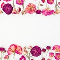 Floral frame of pink roses, buds and petals isolated on white background, Flat lay, Top view Royalty Free Stock Photo