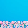 Floral frame of pink roses and petals on blue background. Flat lay, Top view. Woman day holiday Royalty Free Stock Photo