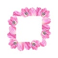 Floral frame with pink tulips on a white background. Hand drawn watercolor botanical illustration of flowers. For design Royalty Free Stock Photo
