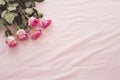 Floral frame with stunning pink roses on pink bed sheets in the bedroom. Copy space. Wedding, gift card, valentine`s day or mothe Royalty Free Stock Photo