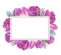 Floral frame with tulips, freesia and hyacinths, watercolor painting. Royalty Free Stock Photo