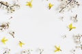 Floral frame, web banner made of white prunus and yellow forsythia blossoms isolated on wooden table background. Flat