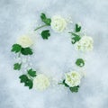 Floral frame of white hydrangea branches on gray background. Flat lay Royalty Free Stock Photo