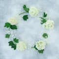 Floral frame of white hydrangea branches on gray. Flat lay Royalty Free Stock Photo
