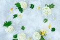 Floral frame with white hydrangea branches isolated on gray. Flat lay Royalty Free Stock Photo