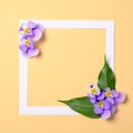 Floral frame with wild flower petals and leaves on bright yellow background. Top view, tender minimal flat lay style composition. Royalty Free Stock Photo