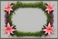 Floral frame, wreath of flowers, Aechmea fasciata, just in the edges of the picture