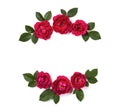 Floral frame wreath made of pink rose flowers and leaves isolated on white background. Flat lay