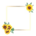 Floral Frames with Sunflowers and Leaves. Watercolor sunflower frame. White background. Watercolor floral. Botanical Drawing Royalty Free Stock Photo