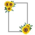 Floral Frames with Sunflowers and Leaves. Watercolor sunflower frame. White background. Watercolor floral. Botanical Drawing