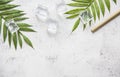 Floral, frash and summer concept with green palm leaves with ice cube on gray marble background top view mock-up, flatlay nature Royalty Free Stock Photo