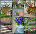 Floral garden collage Royalty Free Stock Photo