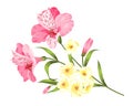 Floral garland card.
