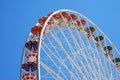 Floral-giant wheel