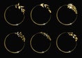 Floral gold circle frames. Round frames with herbs and leaves. Royalty Free Stock Photo