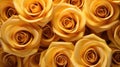 floral golden roses background