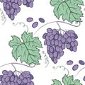 Floral grape seamless pattern. Vector hand draw cartoon style Royalty Free Stock Photo