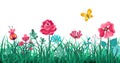 Floral grass border. Green flowers spring field, summer meadow nature, panorama herbs macro element vector concept