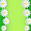 Floral green frame with 3d chamomile flower
