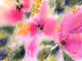 Watercolor flowers background. Colorful flowers greeting card. Royalty Free Stock Photo