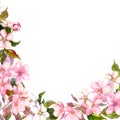 Floral greeting card. White, pink cherry sakura flowers. Watercolor Royalty Free Stock Photo