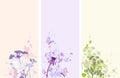 Floral grunge banners Royalty Free Stock Photo