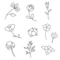 Floral hand drawn collection for divider and frame ornament. Hand drawing flowers outline Royalty Free Stock Photo