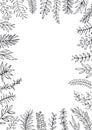 Floral hand drawn outlined twigs branches sides frame border