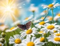 Floral Harmony: Macro Chamomiles and Daisies in a Summer-Spring Field