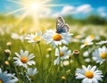 Floral Harmony: Macro Chamomiles and Daisies in a Summer-Spring Field