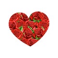 Floral heart decorated with gorgeous roses. Botanical illustration on white background with red roses. Watercolor