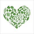 Floral heart made of herbs Royalty Free Stock Photo