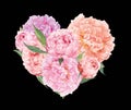Floral heart with pink peoni flowers. Watercolor for Valentine day, wedding Royalty Free Stock Photo