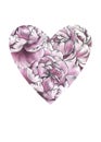 Floral heart with pink peoni flowers. Watercolor for Valentine day, wedding. Royalty Free Stock Photo