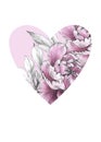 Floral heart with pink peoni flowers. Watercolor for Valentine day, wedding. Royalty Free Stock Photo