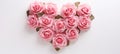 Floral Heart. Pink roses arranged in heart shape on a white background. Ideal for Valentines Day, anniversaries, or Royalty Free Stock Photo