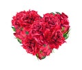 Floral heart with red rose flowers. Watercolor for Valentine day Royalty Free Stock Photo