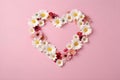 Floral heart of white daisy flowers, chamomiles bouquet. Beautiful blossom, pink paper background, copy space. Love concept,