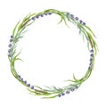 Floral herb wreath watercolor illustration. Hand drawn wreath from lavender meadow flowers. Herb round elegant