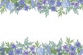 Floral horizontal background with decorative border consisted of gorgeous wild blooming flowers and flowering herbs hand