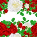 Floral horizontal border seamless background red and white Roses with buds and leaves vintage vector Illustration for use in in Royalty Free Stock Photo